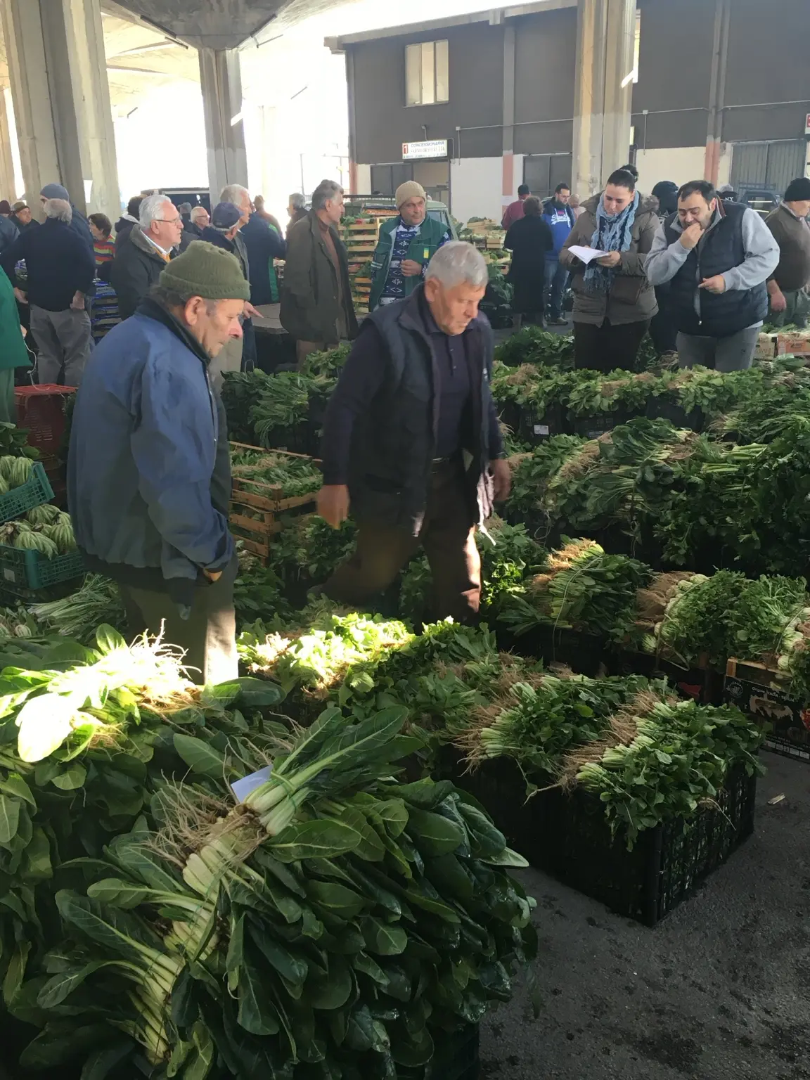 Banchi del mercato ortofrutticolo colmi di verdure a foglia